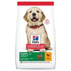 HILL'S Puppy Large Breed Chicken 14,5 kg price and information | Dry dog food and crisps | hansapost.ee