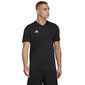 Meeste spordi t-särk Adidas Entrada 22 Tee M HC0448, must цена и информация | Spordiriided meestele | hansapost.ee