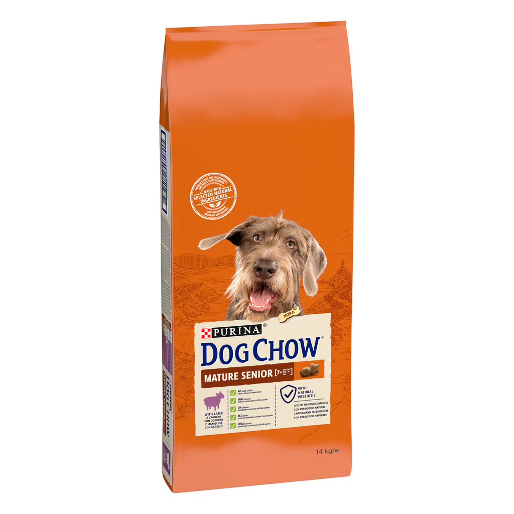 Purina Dog Chow Mature Senior lambaga, 14 kg цена и информация | Koerte kuivtoit ja krõbinad | hansapost.ee