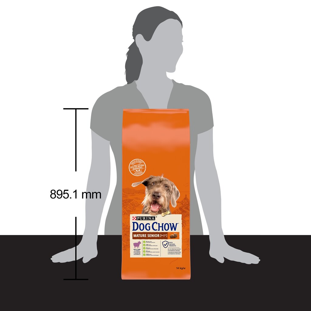 Purina Dog Chow Mature Senior lambaga, 14 kg hind ja info | Koerte kuivtoit ja krõbinad | hansapost.ee