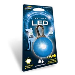 LED ripats koertele Hilton, 5,3x3 cm hind ja info | Koerte kaelarihmad ja traksid | hansapost.ee