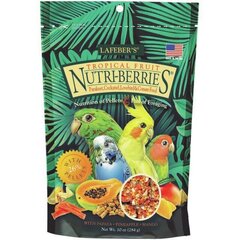 Корм Nutri-Berries Tropical Fruit для маленьких и средних попугаев, 284 г. цена и информация | Корм для экзотических животных | hansapost.ee