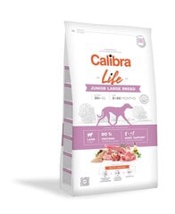 Calibra Life для молодых собак крупных пород, с ягнятиной, 12 кг цена и информация | Сухой корм для собак | hansapost.ee