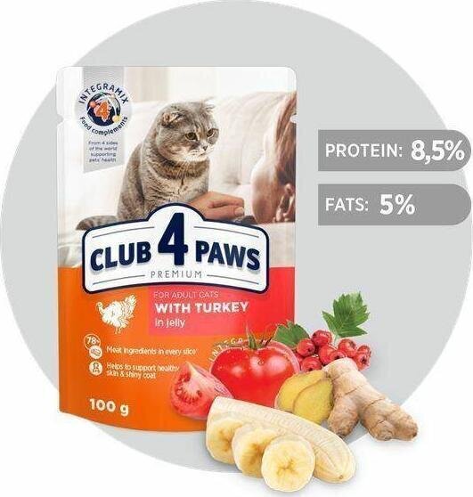 Club 4 Paws Premium konserv kassidele kalkunilihaga 100 g цена и информация | Kassikonservid | hansapost.ee