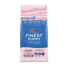 Fish4Dogs Finest Salmon Puppy lõhega kutsikatele, 6 kg hind ja info | Koerte kuivtoit ja krõbinad | hansapost.ee