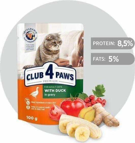 Club 4 Paws Premium pardiliha kastmes, 100 g цена и информация | Kassikonservid | hansapost.ee