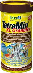 Tetra min XL granules, 250 ml hind ja info | Kalade toit | hansapost.ee