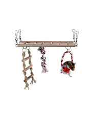 Redel närilistele Trixie price and information | Cages and accessories for small animals | hansapost.ee