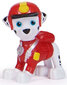 Paw Patrol Jungle Pups mänguauto Marshalli figuuriga hind ja info | Mänguasjad poistele | hansapost.ee