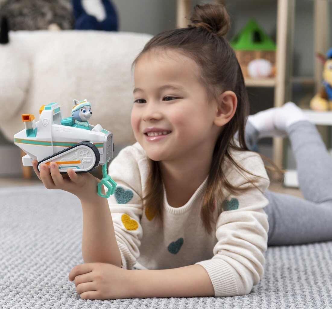 Figuur Paw Patrol Everest ja sõiduk mootorsaan koos Snow Plow eco'ga цена и информация | Mänguasjad poistele | hansapost.ee