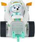 Figuur Paw Patrol Everest ja sõiduk mootorsaan koos Snow Plow eco'ga цена и информация | Mänguasjad poistele | hansapost.ee