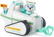 Figuur Paw Patrol Everest ja sõiduk mootorsaan koos Snow Plow eco'ga цена и информация | Mänguasjad poistele | hansapost.ee