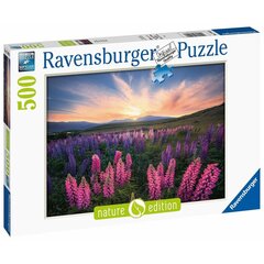 Pusle Ravensburger, 500 tk Lupiinid hind ja info | Pusled lastele ja täiskasvanutele | hansapost.ee