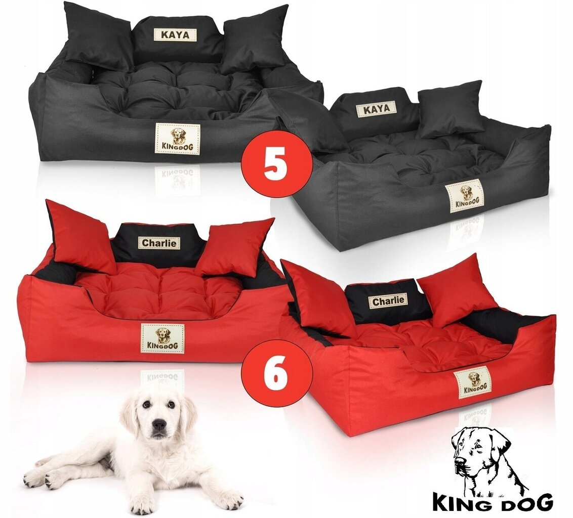 Pesa KingDog, 75x65 cm, must hind ja info | Pesad, asemed | hansapost.ee