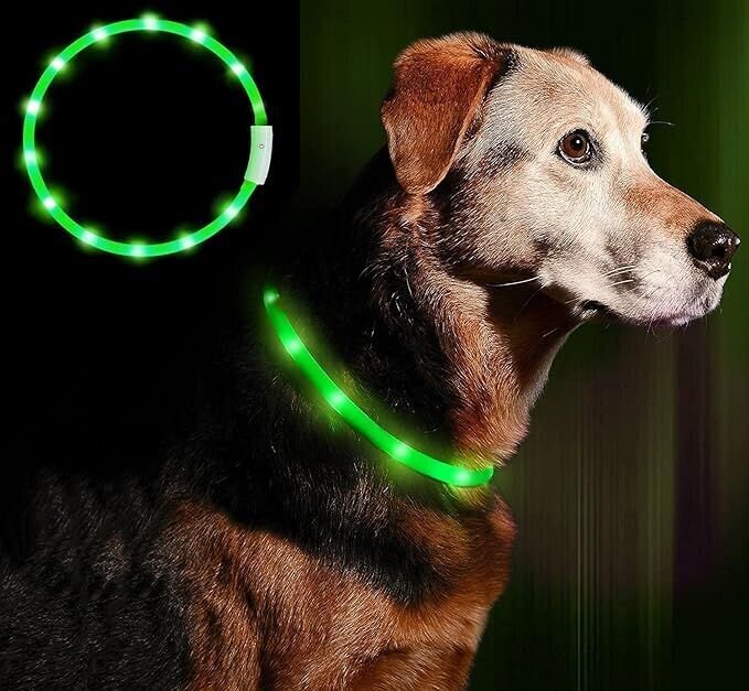 LED kaelarihm koertele ja kassidele Collar, roheline hind ja info | Koerte kaelarihmad ja traksid | hansapost.ee