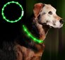 LED kaelarihm koertele ja kassidele Collar, roheline цена и информация | Koerte kaelarihmad ja traksid | hansapost.ee