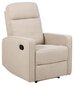 Tugitool Asila recliner hind ja info | Tugitoolid | hansapost.ee