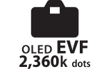 EVF