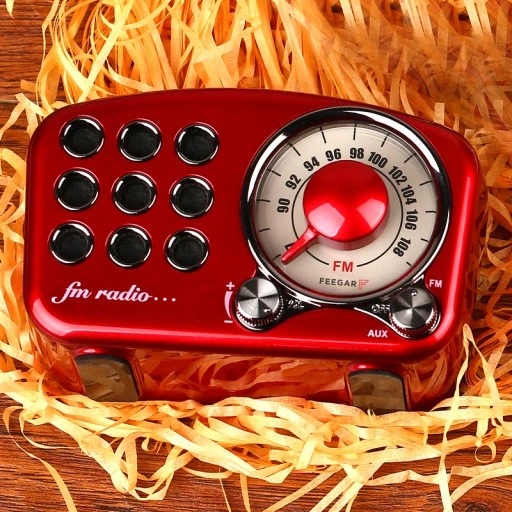 Feegar Retro Bluetooth köögiraadio Kaasaskantav FM mudel Retro