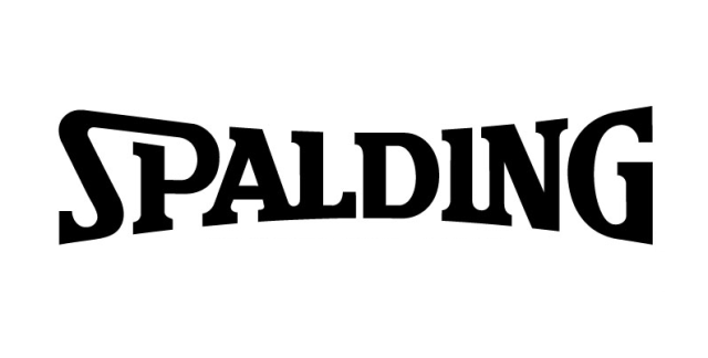 Image result for spalding logo