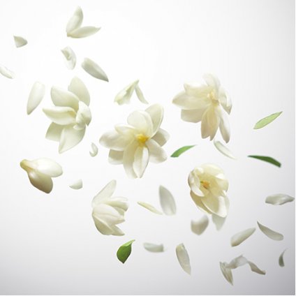 Mon Guerlain - Sambac Jasmine