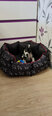 Koera pesa Hobbydog New York, L, Black Dogs, 65x55 cm