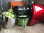 Соковыжималка Juicer Sana EUJ-707R Type Slow juicer, R