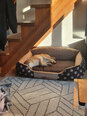 Kuninglik lemmiklooma pesa Hobbydog XXL, pruun