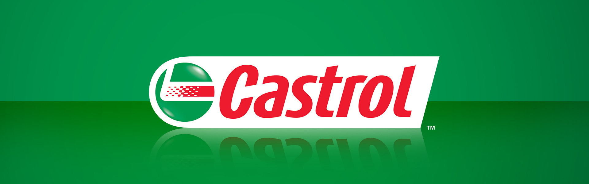 Mootoriõli Castrol Edge Titanium FST C3 5W30, 1L 